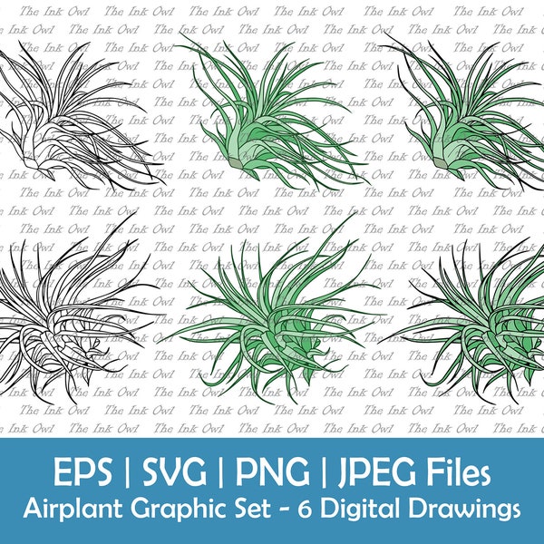 Air Plant Vector Clipart Set / Outline & Color Graphics / Succulent Plants / Sublimation / Svg, Png, Eps, Jpg