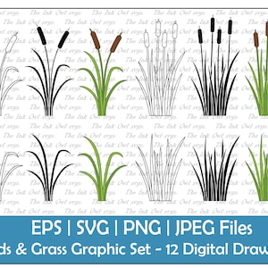 Cattail Reeds and Grass Vector Clipart Set / Dessin de contour et de tampon Graphique / Marais / PNG, JPG, SVG, Eps