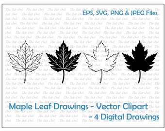 Maple Leaf Drawing Set Vector Clipart / Outline & Stamp Drawing Illustrations / PNG, JPG, SVG, Eps