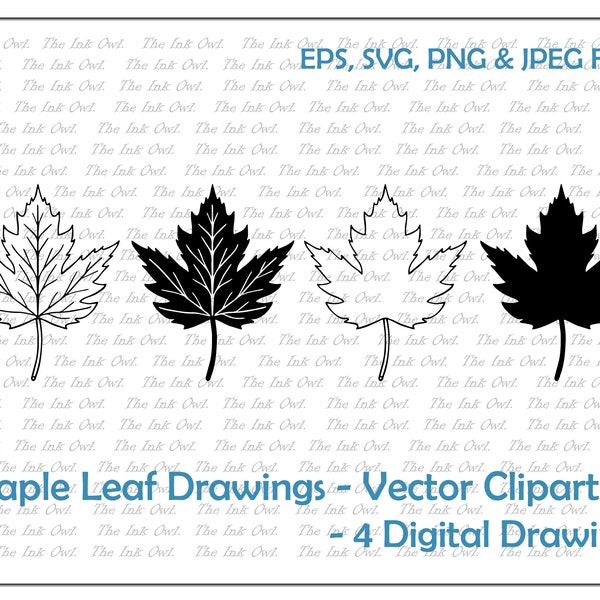 Maple Leaf Drawing Set Vector Clipart / Outline & Stamp Drawing Illustrations / PNG, JPG, SVG, Eps
