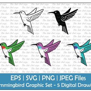 Kolibrie vector clipart/overzicht, silhouet stempel stencil & kleur tekening afbeelding/vogel clipart/png, jpg, eps, SVG