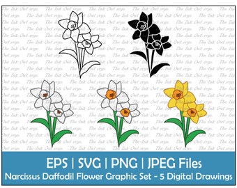 Narcissus Daffodil Flower Clipart Set / Outline, Stamp & Colored Graphic / Birth Flower for December / White, Yellow / PNG, JPG, SVG, Eps