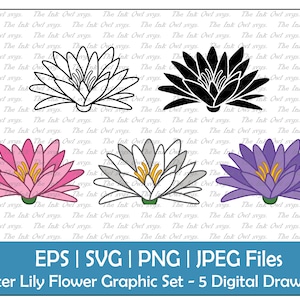 Conjunto de clipart vetorial de flor de nenúfar / contorno, carimbo e gráfico colorido / flor de nascimento para julho / branco, rosa, roxo / PNG, JPG, SVG, Eps