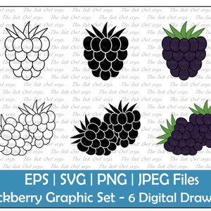 Blackberry Vektor Clipart / Outline & Stempel Zeichnung Illustrationen / Obst und Essen / PNG, JPG, SVG, Eps