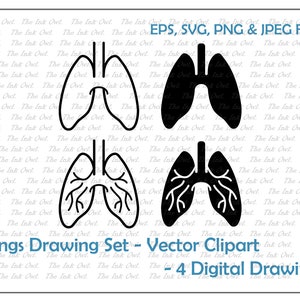 May include: A digital drawing set of four black and white illustrations of human lungs. The set includes two simple outline drawings and two detailed drawings with visible veins. The text "Lungs Drawing Set - Vector Clipart - 4 Digital Drawings" is included in the image.