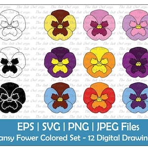 Stiefmütterchen Blume Vektor Clipart Set / Outline & Stempel Grafiken / Floral / PNG, JPG, SVG, Eps