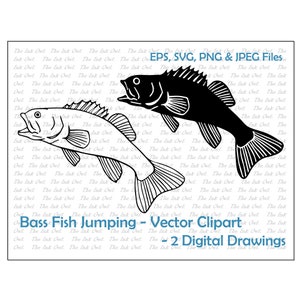 Jumping Bass Fish Vector Clipart / Outline & Silhouette Stamp Graphic / Sport Fishing / Sublimation / Png, Svg, Jpg, Eps