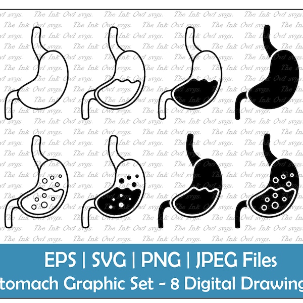 Stomach Vector Clipart Set / Outline & Stamp Illustration Graphic / Human Anatomy / PNG, JPG, SVG, Eps