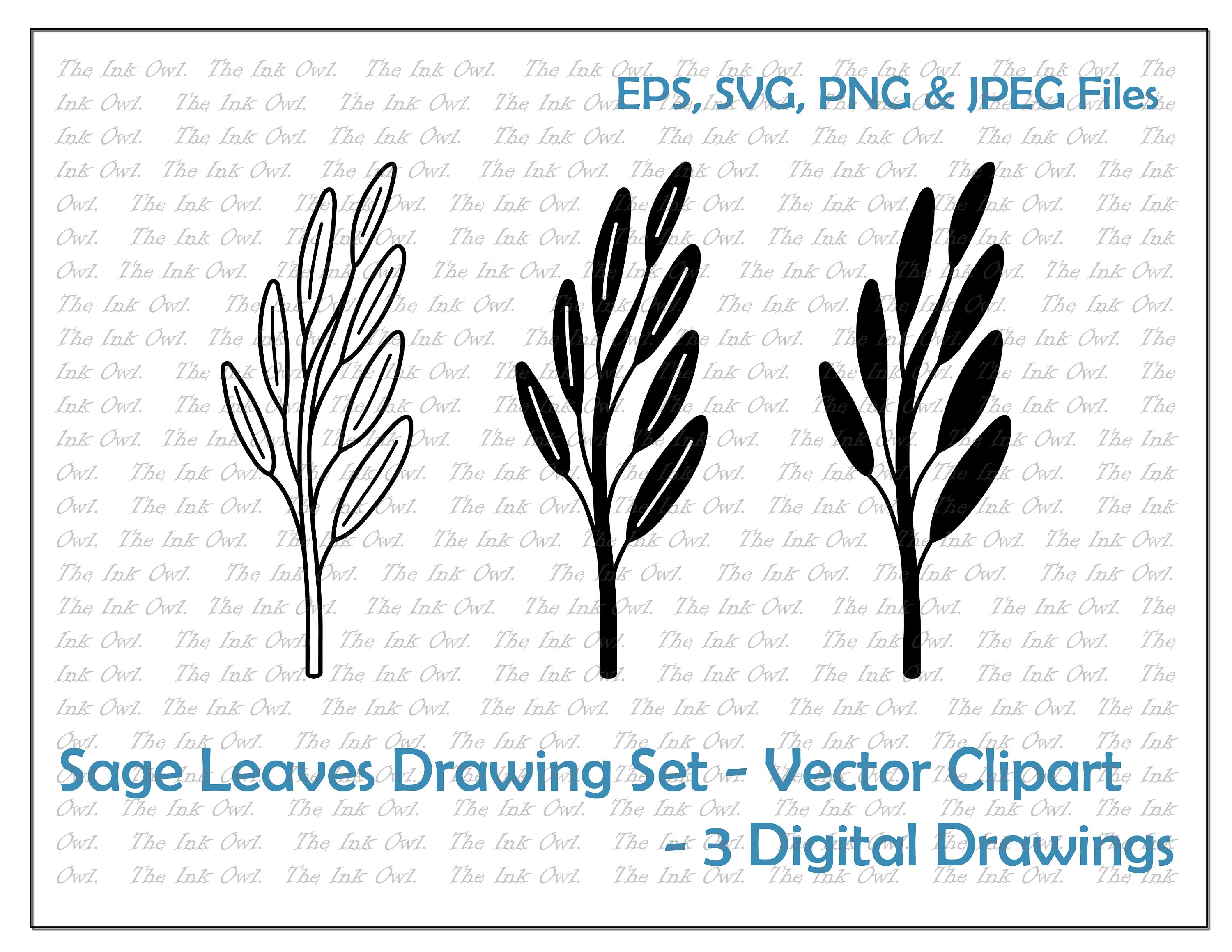 Sage Leaf Drawing Set Vector Clipart / Outline & Stamp Drawing Etsy UK