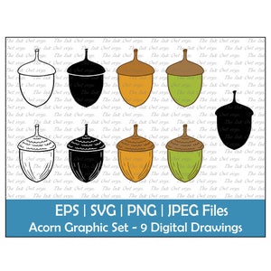 Ensemble de clipart vectoriel gland / contour, timbre Silhouette et graphiques de dessin en couleur / graine de chêne / usage commercial / PNG, JPG, SVG, Eps