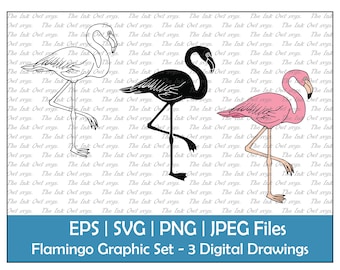 Roze flamingo staande vector clipart/overzicht, silhouet stempel & kleur grafische illustratie/sublimatie/PNG, JPG, SVG, EPS