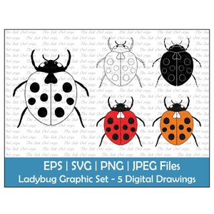 Ladybug Illustration SVG/PNG Graphic by Vector Haven · Creative