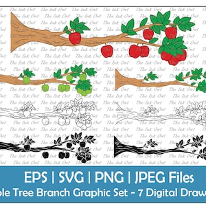Clipart vetorial de galho de árvore de maçã / contorno, silhueta e gráficos coloridos / colheita de alimentos / sublimação / svg, png, jpg, eps