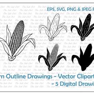 Puede incluir: Cinco dibujos de contorno en blanco y negro de maíz en la mazorca. El texto "Corn Outline Drawings - Vector Clipart - 5 Digital Drawings" está en la parte inferior de la imagen.