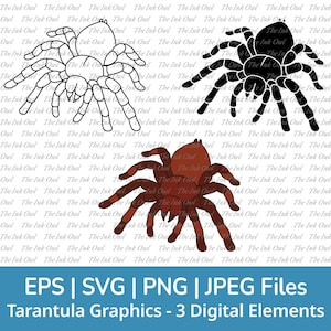 Tarantula Spider Svg Vector Clipart / Outline, Stamp Silhouette & Color Drawing Graphic / Arachnid / Png, Jpg, Svg, Eps