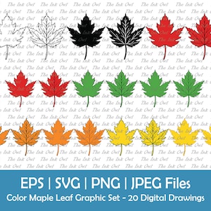 Ahornblatt Clipart Set / Umriss, Silhouette Stempel & Farbillustrationen / Herbst Herbst Jahreszeiten / svg, Png, Eps, Jpg
