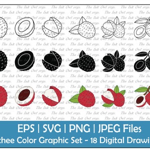 Lychee Fruit Vector Clipart Set / Outline, Silhouette Stamp & Color Graphic Illustrations / Whole, Open, Half / PNG, JPG, SVG, Eps