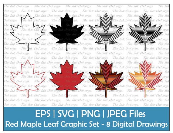 Maple Leaf Vector Art & Graphics