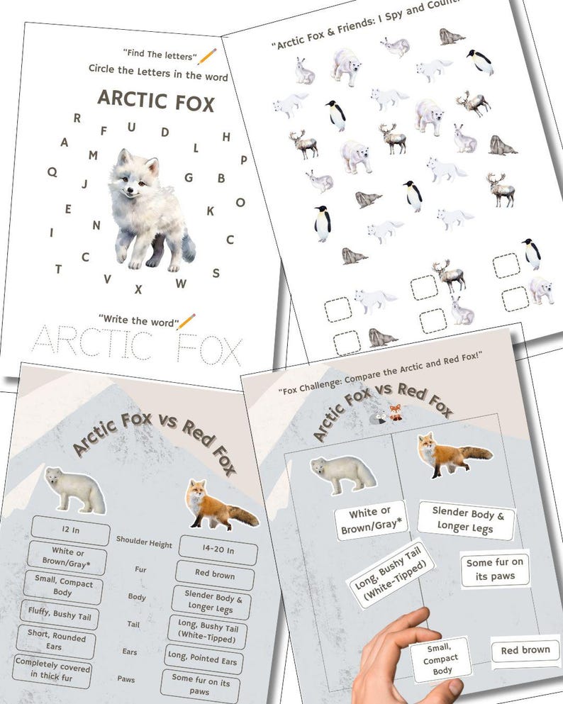 Arctic Fox Morning Basket - Fun Printable Activities for Kids Preschool ...