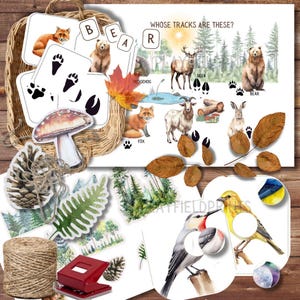Woodland Wonders Morning Basket Printable Pack,10 Forest-Themed Activities for Ages 3-5, Homeschool Resources, Nature Study
