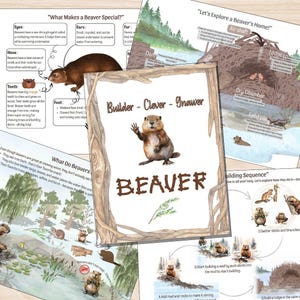 Cesta matutina de castor imprimible, actividades de naturaleza y STEM para niños, tarjetas didácticas de rompecabezas de la A a la Z, práctica divertida de motricidad fina, preescolar