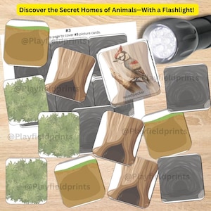 Puede incluir: Un conjunto de tarjetas ilustradas de hábitats de animales con una linterna. Las tarjetas presentan ilustraciones de un pájaro carpintero, troncos de árboles, madrigueras y follaje. El texto en las tarjetas dice "Discover the Secret Homes of Animals - With a Flashlight!"