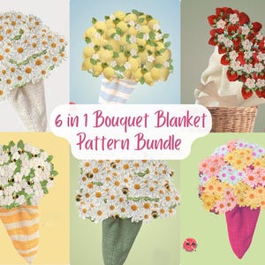 6 in 1 Blumenstrauß Decke Muster Bündel Blumenstrauß Decke Häkelanleitungen Gänseblümchen Häkeldecke Anfängerfreundlich Niedlich PDF Muster Geschenk