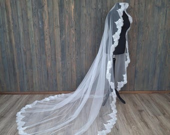 Сhantilly lace veil in lace trim veil Сathedral veil with trim lace veil Spanish mantilla with sequin Mantilla veil floor length veil Veil