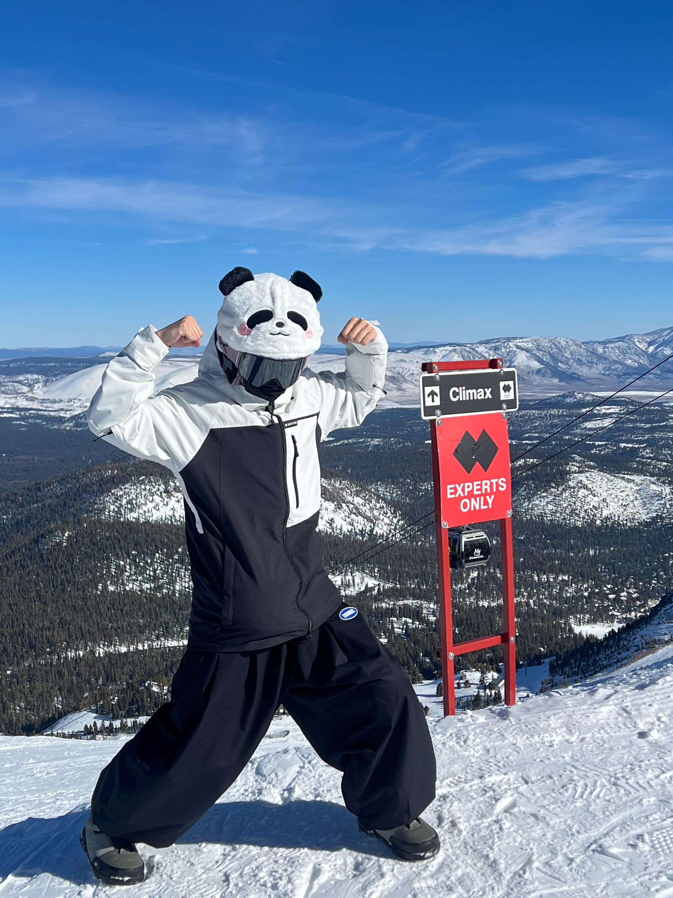 SNOWSPORT.PL Skihelm helm cover olifant voor kinderen