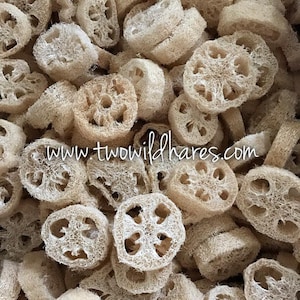 May include: A close-up image of a pile of natural loofah sponges, which are round and have a light brown color. The loofah sponges are dried and ready to use. The image includes the text "www.twowildhares.com".