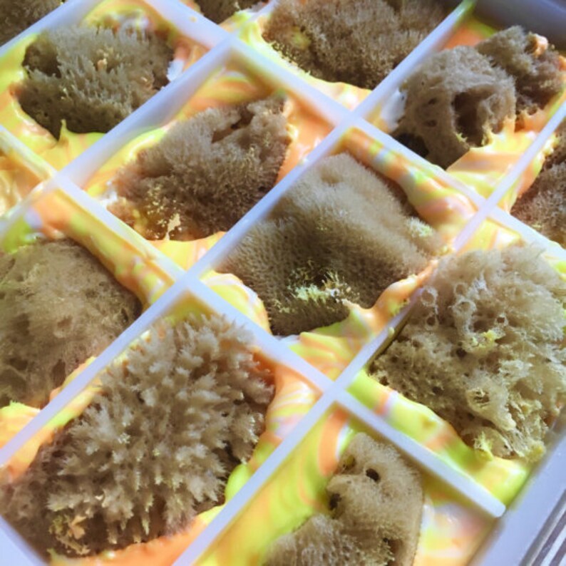 May include: A close-up of a white silicone mold filled with a yellow and orange swirl of soap. The soap is studded with small, brown, natural sea sponges.