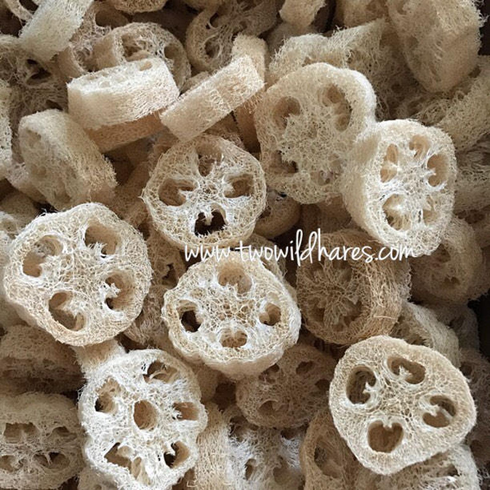 Natural Loofah Sponge Cuts