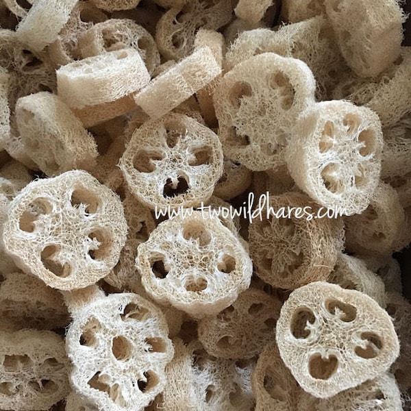 7/8-1" Thick LOOFAH Cuts, 2-3.75" Wide, Free USA Ship, Natural Sponge Exfoliant, Luffah, Luffa, Loofa, Soap Embed, Two Wild Hares