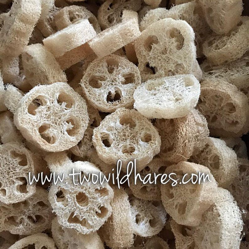 May include: A close-up image of a pile of natural loofah sponges. The loofah sponges are light brown in color and have a rough, textured surface. The loofah sponges are in various shapes and sizes. The loofah sponges are a natural product and are used for bathing and exfoliating.