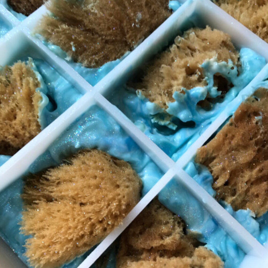 BULK 5pc SEA Sponge 45 Size Natural Yellow Etsy