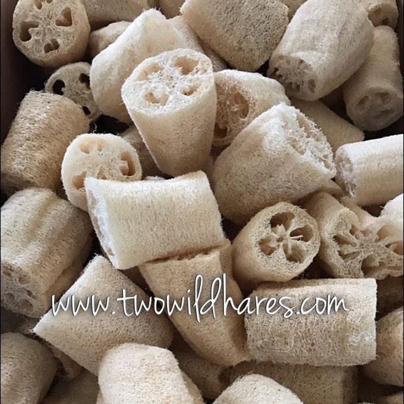 May include: A collection of natural, beige loofah sponges. The sponges have a cylindrical and rectangular shape, with a porous, textured surface. The image includes the website address www.twowildhares.com.