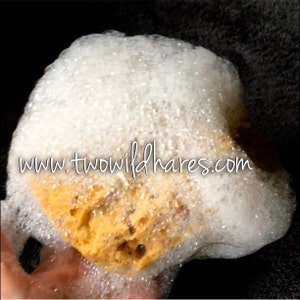 SEA SPONGE 1pc, 45 Luxury Natural Bathing or Cosmetic Sea Sponge, Sustainably Harvested, Two Wild Hares image 3