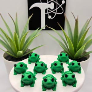 Frog | 3D Printed | Articulated Flexi Wiggle | ADHD Sensory Aid | Fidget Toy | Keychain Option | Cute Mini Animal