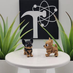 May include: Two small, detailed chihuahua figurines, one black and tan, the other tan, stand on a white pedestal. The background features a black square with a white atom symbol and a hammer. Green plants in white pots flank the pedestal.