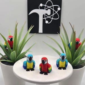 Parrot | Macaw | 3D Printed | Articulated Flexi Wiggle | ADHD Sensory Aid | Fidget Toy | Keychain Option | Cute Mini Animal