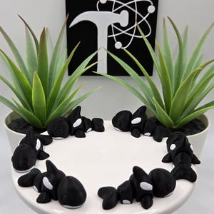 May include: Eight black and white orca figurines arranged in a circle on a white surface. The figurines are made of a smooth, matte material.
