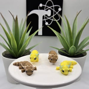 Bearded Dragon | 3D Printed | Articulated Flexi Wiggle | ADHD Sensory Aid | Fidget Toy | Keychain Option | Cute Mini Animal