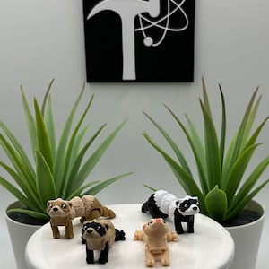 Ferret | 3D Printed | Articulated Flexi Wiggle | ADHD Sensory Aid | Fidget Toy | Keychain Option | Cute Mini Animal | Girl Scout's Mascot