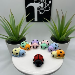 Ladybug | 3D Printed | Articulated Flexi Wiggle | ADHD Sensory Aid | Fidget Toy | Keychain Option | Cute Mini Animal