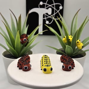 Caterpillar | 3D Printed | Articulated Flexi Wiggle | ADHD Sensory Aid | Fidget Toy | Keychain Option | Cute Mini Animal
