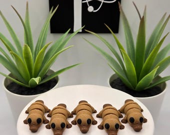 Platypus | 3D Printed | Articulated Flexi Wiggle | ADHD Sensory Aid | Fidget Toy | Keychain Option | Cute Mini Animal