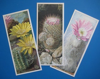 Vintage Blooming Cactus Botanical Color Illustrations, Circa 1935