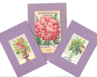 Antique Garden Flower Ephemera Seed Packet Lavender Matboard