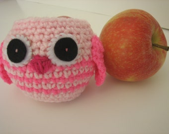 Pink Owl Apple Cozy- Back to School gift for teachers and secretary's -Fill with goodies for Easter