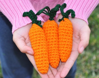 Farm/Fair Carrots -Set of 3